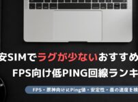 格安SIM ラグ 少ない