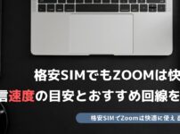 格安SIM Zoom 通信速度