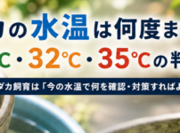 メダカ 水温 何度まで