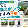 メダカ 水換えポンプおすすめ