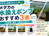 メダカ 水換えポンプおすすめ