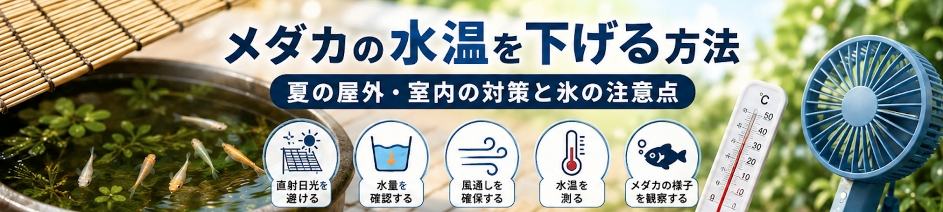メダカ 水温 下げる方法