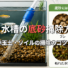 メダカ 水槽 底砂 掃除