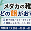 メダカ 稚魚 餌 おすすめ