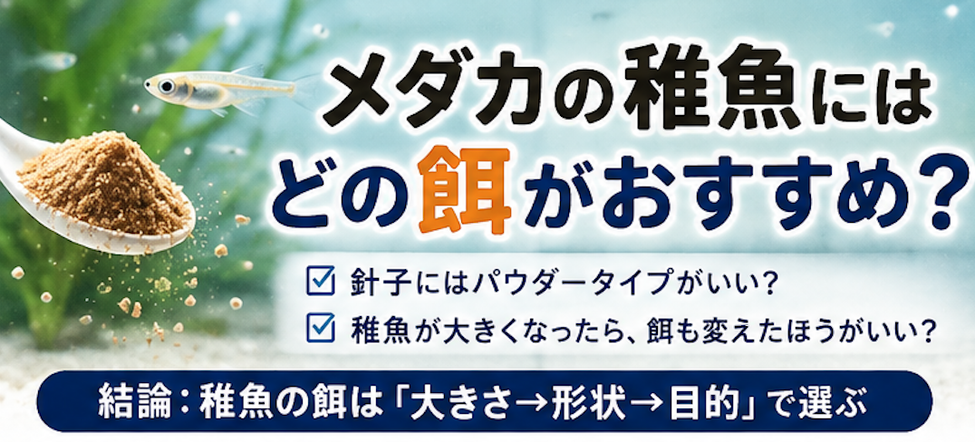 メダカ 稚魚 餌 おすすめ